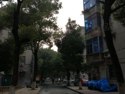 戚廠工房北區深度解析 居住優勢與不足，以及周邊經紀人專業評價